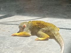 -西安秦岭野生动物园