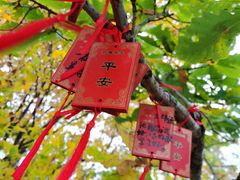-五女山景区