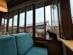 -猫的天空之城概念书店(丽江古城饮玉巷店)