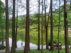 -梧桐山风景名胜区