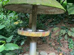 -新加坡飞禽公园