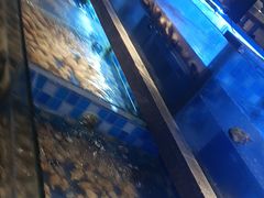 -奢谷·海鲜自助(南海万科店)