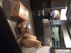 Fergburger-Fergburger(皇后镇店)