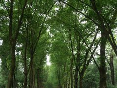 -华南国家植物园-售票处