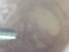 -TPLUS茶家(上海商城南京西路店)