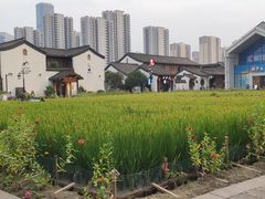 -章太炎故居