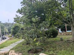 -大连植物园