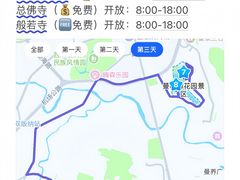 -西双版纳原始森林公园