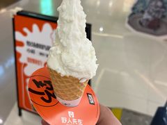 -野人先生现做冰淇淋(北京王府井东方新天地店)