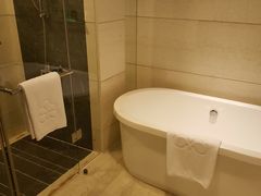 -西贡日航酒店