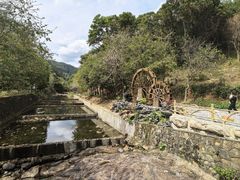 -广州白江湖森林公园