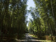 -黄公望隐居地