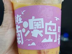 -南澳岛打卡果汁冰公司