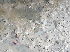 -北海金海湾红树林生态旅游区