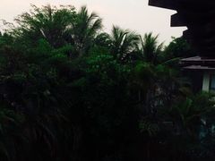 五号度假别墅酒店-三亚亚龙湾五号度假别墅酒店