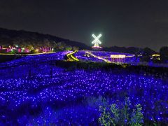 -大塘金香草谷