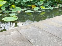 -南翔镇银翔湖公园