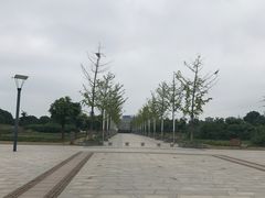 -九里河湿地公园