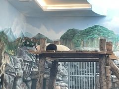-武汉动物园