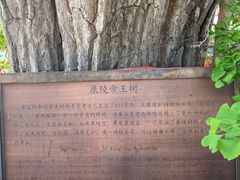 -康陵正德春饼宴26号
