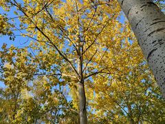 -森林公园(尖草坪区)