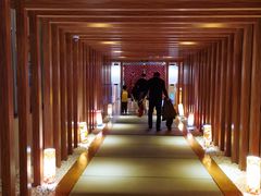 -重庆南山海昌汤都
