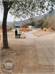 -浅山蜜塘奇妙乐园·亲子营地