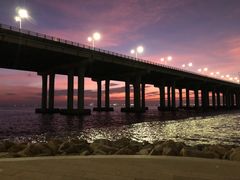 -宝安西湾红树林湿地公园