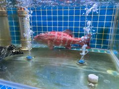 -山海蟹庐·海鲜糟粕醋火锅(慈溪店)