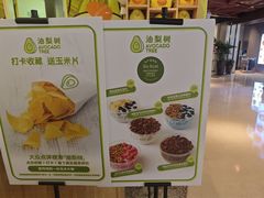 -油梨树AVOCADO TREE(嘉里中心店)