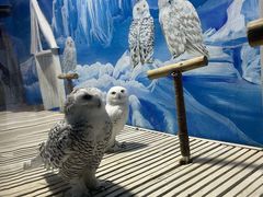 -成都浩海立方海洋公园