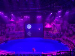 -芜湖新华联大白鲸海洋公园