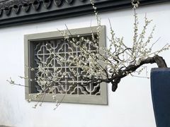 -杭州植物园