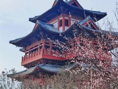 -河北省园博园