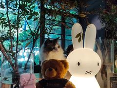 -咖法森林·咖啡  酒吧(天河店)