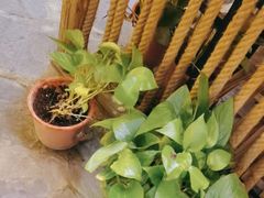 -王婆炒鱼(总店)