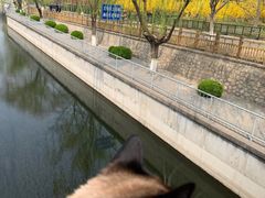 -元大都城垣遗址公园