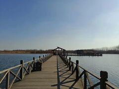 -溱湖国家湿地公园