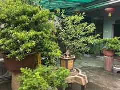 -悦和庄餐厅(迎宾北路店)