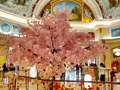 -重庆长寿碧桂园凤悦凤凰酒店