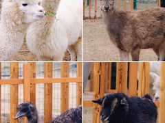 -江苏三台山国家森林公园