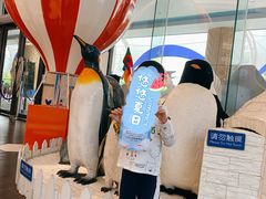 -帝企鹅自助餐厅•儿童岛•真企鹅(长隆企鹅酒店)