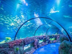 -沈阳海洋探索中心