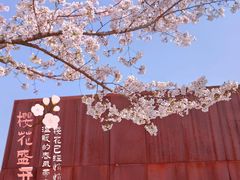 -龙美术馆(西岸馆)