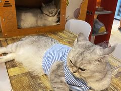 -小时光咖啡馆(北锣鼓巷店)