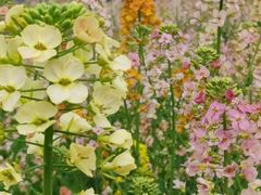 -中国天府农业博览园