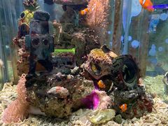 -太平洋海底世界