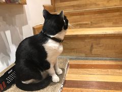 -猫的天空之城概念书店(杭州南宋御街店)