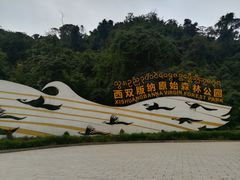 -西双版纳原始森林公园