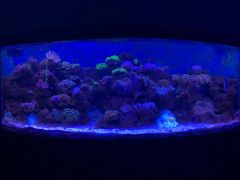 -多彩贵州城极地海洋世界